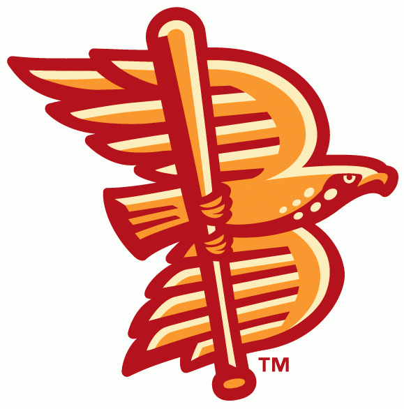 Boise Hawks 2007-Pres Alternate Logo vinyl decal